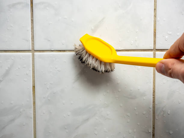 Best Black Mold Removal  in Grants, NM