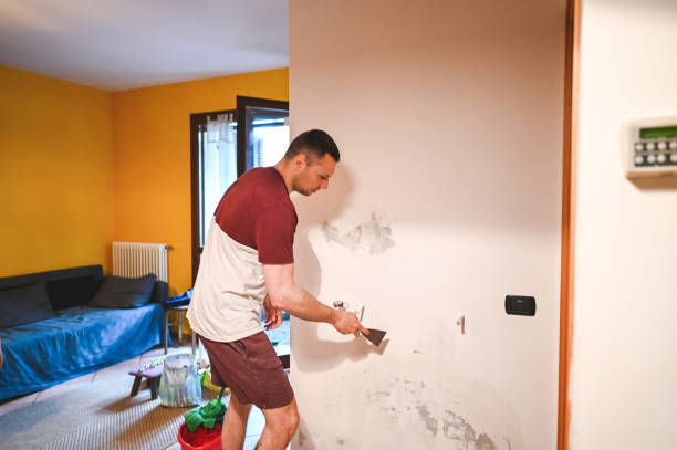 Mold Removal Process in Grants, NM