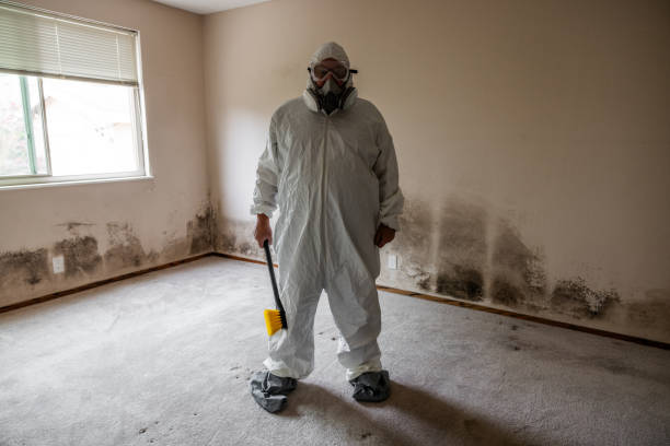 Best Certified Mold Removal  in Grants, NM